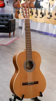 Alhambra Guitarras - Z-Nature Student Classical Guitar 2